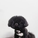 우장동물병원 이미지