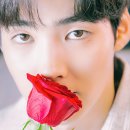 백서후 카카오 검색결과