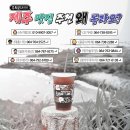 오가네김밥나라 | 깔끔하게 여기 제주 핫플 추천 리스트