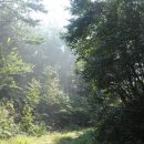 구불5길(물빛길) | 군산 구불길 4길 - 구슬뫼길