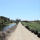 제주 올레길 9코스 이미지