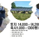 태양목장 이미지