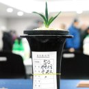 한국공판장 이미지