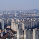 강남-181 이미지