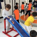 푸른경희대태권도체육관 이미지