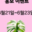 슬기마켓