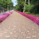 내대 2리 이미지