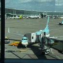 2005 | [홍콩] 홍콩 직항 대한항공 KE2005 이코노미 탑승 후기 (체크인/좌석/기내식)