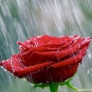 토닥토닥 이미지