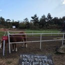 말무리목장 이미지