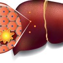 닥터신베스트의원 이미지