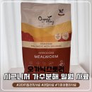 오가닉밸런스 | 오가닉스토리 가수분해 밀웜 사료 후기 입맛 까다로운 강아지도 잘 먹음