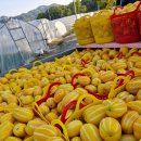 빈이네농장 이미지