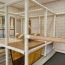 남다른감자탕 함양상림점 이미지