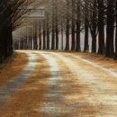 영혼의친구 이미지