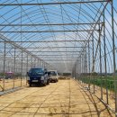 동헌농장 이미지