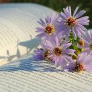 기다림은 가장 그리스도적인 삶의 방법입니다! 이미지