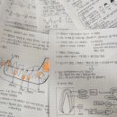 핀란드에서 알게된 “치아 수명” 10년 늘리는법 이미지