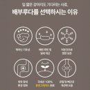 부루 | 강아지 알러지 고민 끝ㅣ펫마당 배부루다 저알러지 사료 솔직 후기