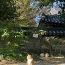 전주도란도란카라반 | 전주 여행 도란도란 글램핑