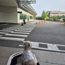펫인더파크 | 김포공항 펫파크 후기 | 기대했지만 조금 아쉬웠던 이유