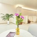 조아메디칼 이미지