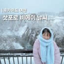동화카밧데리 | 12월 일본 삿포로 비에이 날씨 정보 눈 올까? 겨울 여행 꿀팁