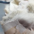 건우세탁소 이미지