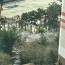 (주)오한수