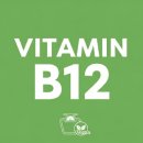 B12-2 | 비타민 B12 부족 증상과 섭취 대처법