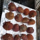 고운힐링팜 이미지