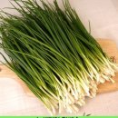 대봉상회 이미지