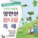 장안산 봄나물 축제 이미지