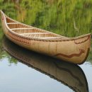 자작나무이야기 이미지