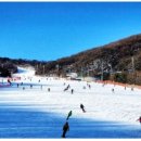 드리밍하우스 이미지