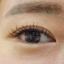 예인미가 이미지