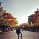 김준 카카오 검색결과