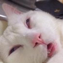 낮이,