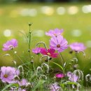 The행복공인중개사사무소 이미지