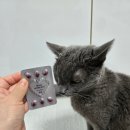 휴먼아이케어 이미지