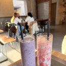 선릉로 | [강남/내돈내산]강남구청역 카페 울루루커피 인테리어 예쁜 선릉로 채광 맛집 내돈내산 후기☕️