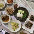 산채식당민박 네이버블로그