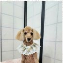 예뻐지는오늘 이미지