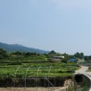 염해섬