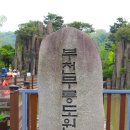 부천무릉도원수목원 티스토리