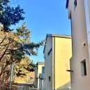 뭉구 애견 이미지