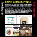 하얀강아지&고양이 이미지