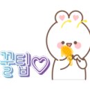 보리와 차이야기 이미지