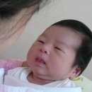 태우