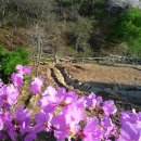 꽃동산화원 이미지